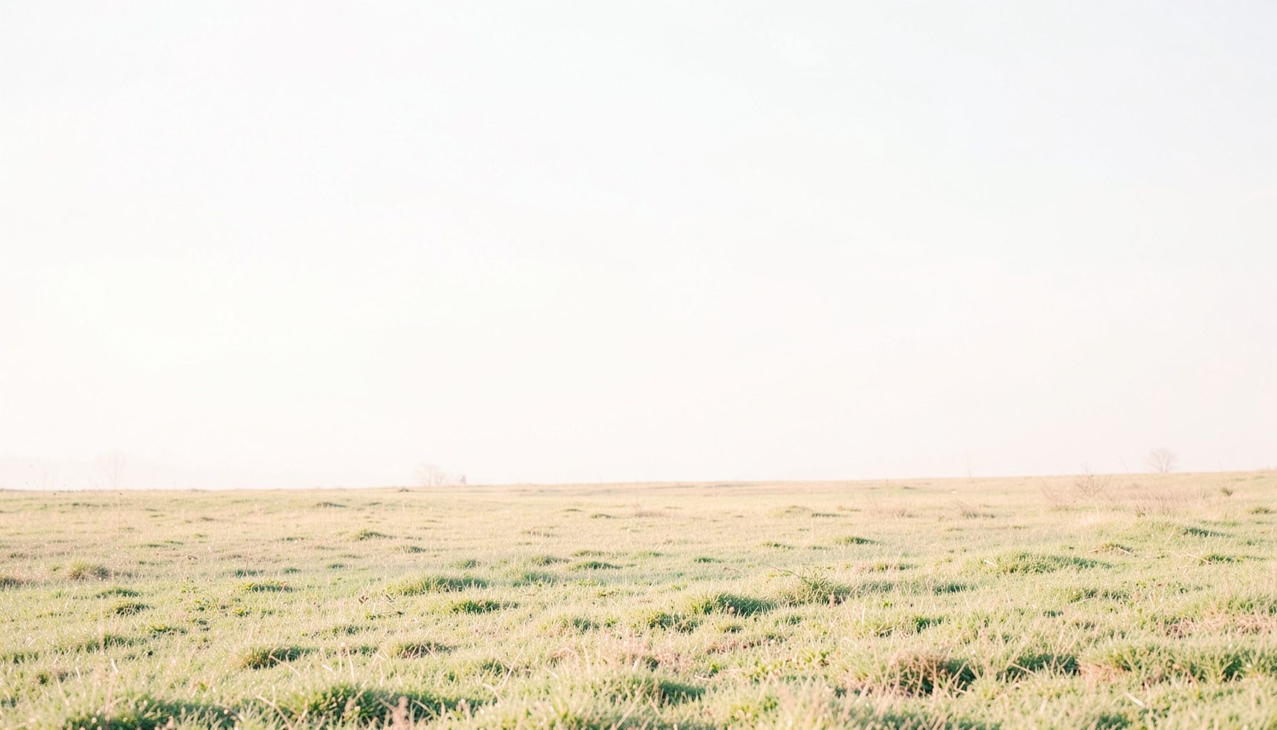 Bright, airy high-key photograph of an open outdoor field under soft morning light, with pale sky, muted green grass, and warm off-white tones creating a calm, neutral mood